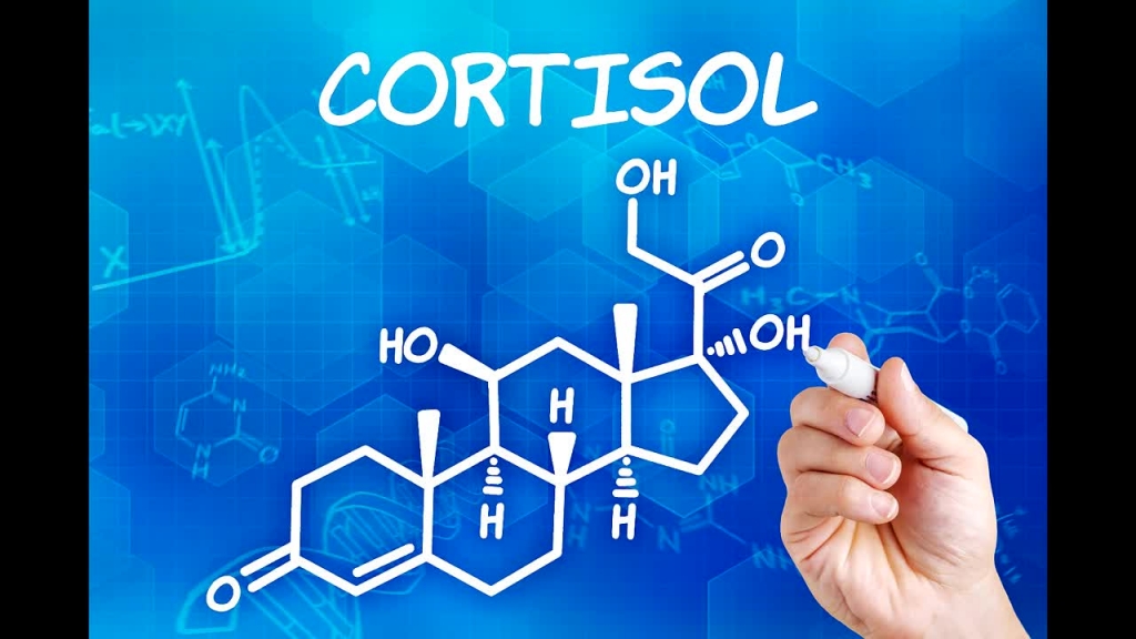 Кортизол 